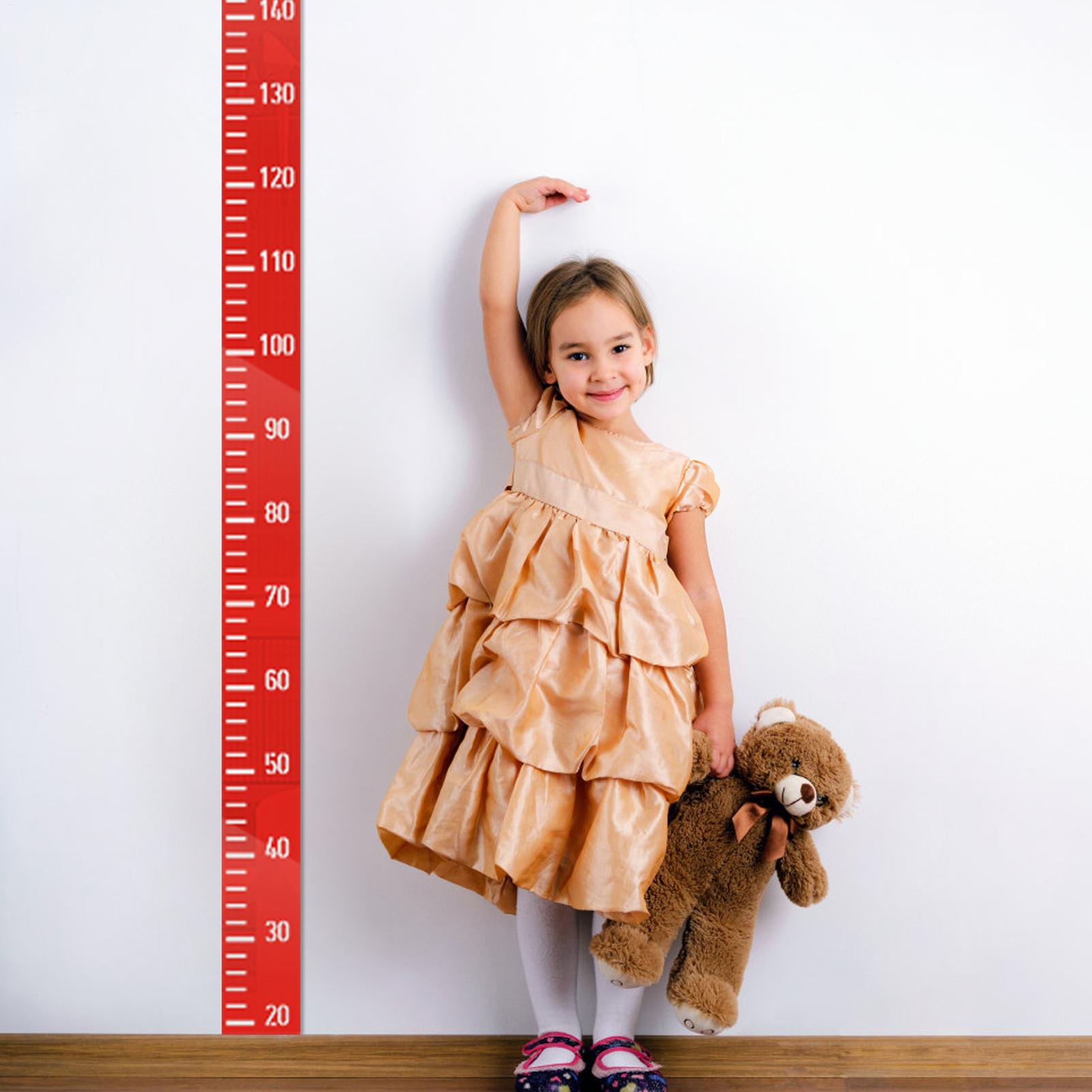 Growth Chart Wall Mirror Heigh - đánh giá và giá Growth Chart Ruler